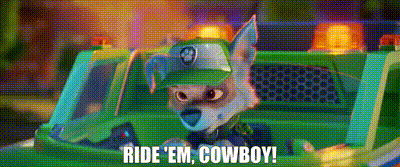 Paw Patrol Rocky GIF - Paw Patrol Rocky Ride Em Cowboy GIFs
