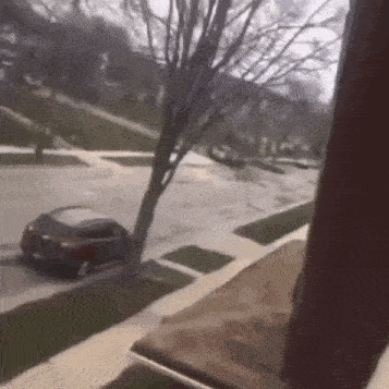 a car is parked on the side of the road next to a tree in a residential neighborhood .