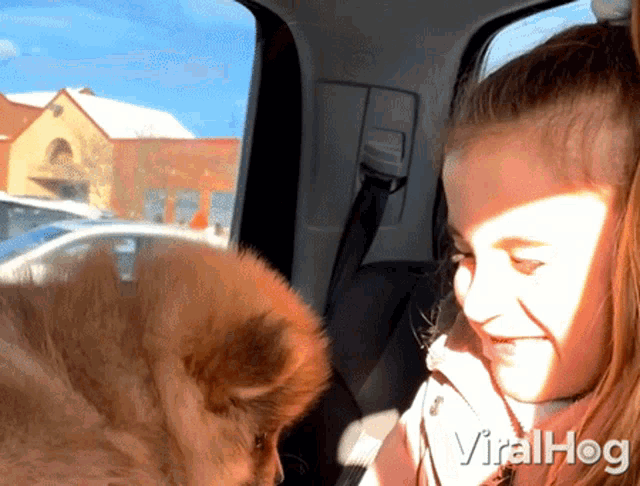 a girl is sitting in a car with a dog and the words viralhog are on the bottom