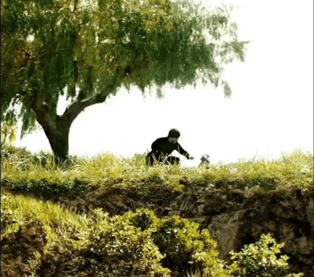 a person standing under a tree on a hillside