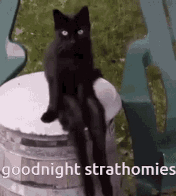 a black cat is sitting on top of a trash can with the words `` goodnight strathomies '' written above it .