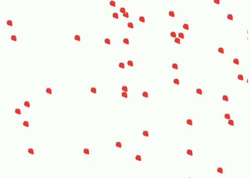 a bunch of red dots are floating in the air on a white background