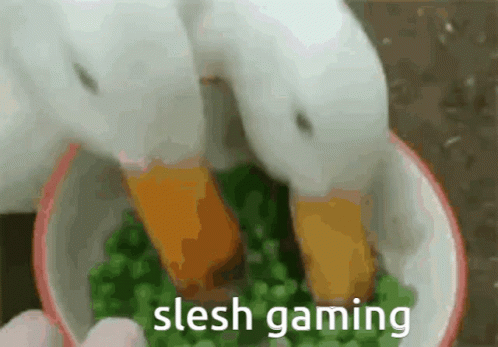 Slesh Gaming Discord GIF - Slesh Gaming Discord Funny GIFs