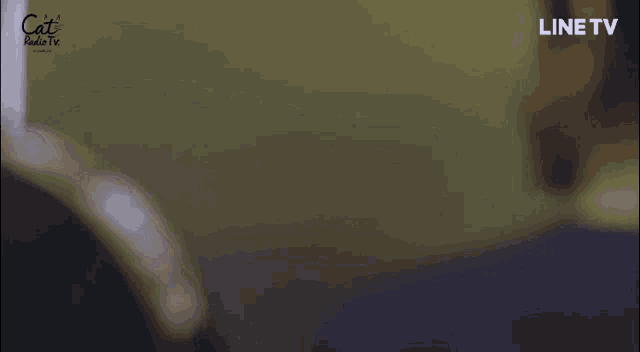 a blurred image of a person sitting on a couch with a line tv logo in the corner .