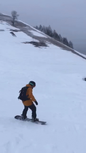 Snowboarder Fail GIF - Snowboarder Fail Snowboarding GIFs