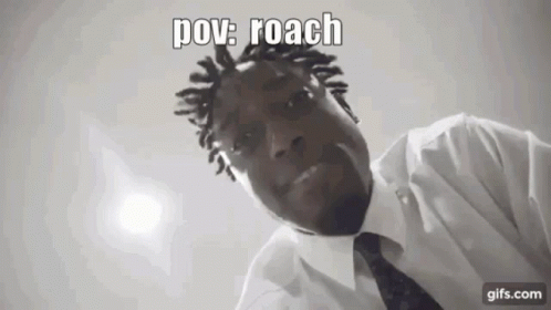 Pov Roach Roach GIF - Pov Roach Roach Shonen Showdown GIFs