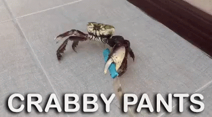Crabby Pants GIF - Crabby Pants GIFs