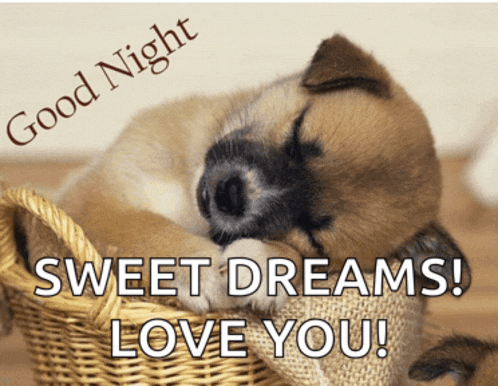 a puppy sleeping in a wicker basket with the words " good night sweet dreams love you "