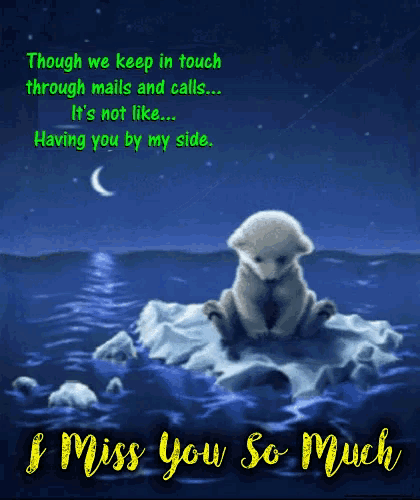 a teddy bear sits on a small island in the middle of the ocean with the words " i miss you so much " on the bottom