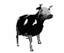 a black and white drawing of a cow standing on a white background .