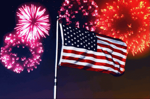 Fireworks Independence GIF - Fireworks Independence Day GIFs