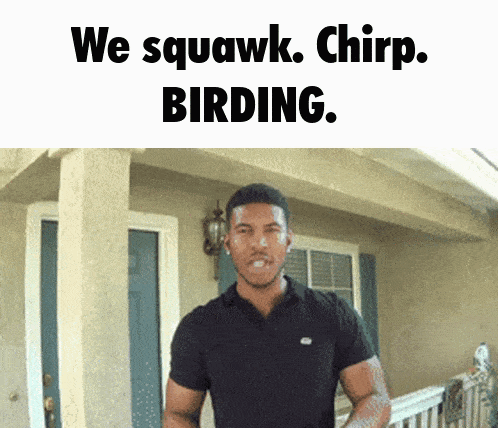 Squawk Chirp GIF - Squawk Chirp Birding GIFs