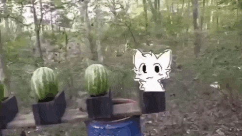 a cartoon cat is standing next to watermelons in a bucket in the woods .