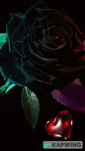 a black rose with the words goodnight derian sweet dreams mi amor on it