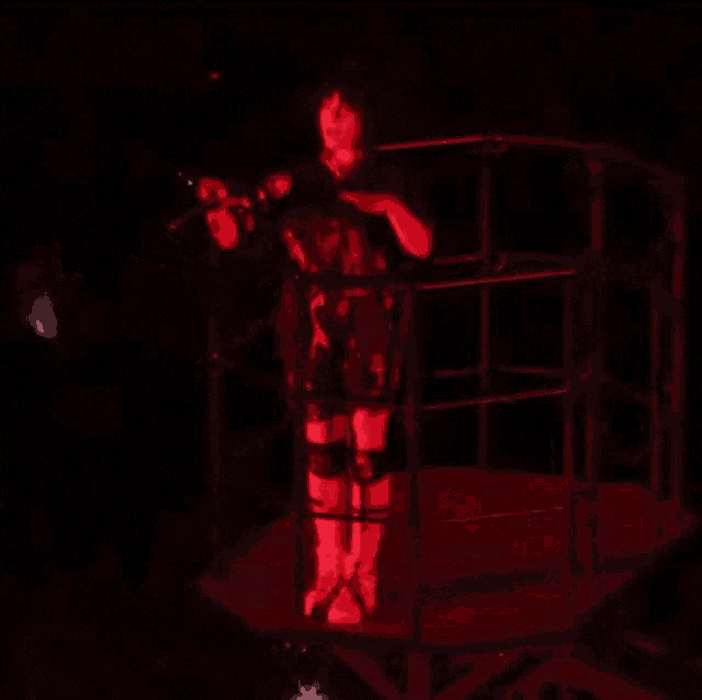 a woman in a black dress is standing in a red cage