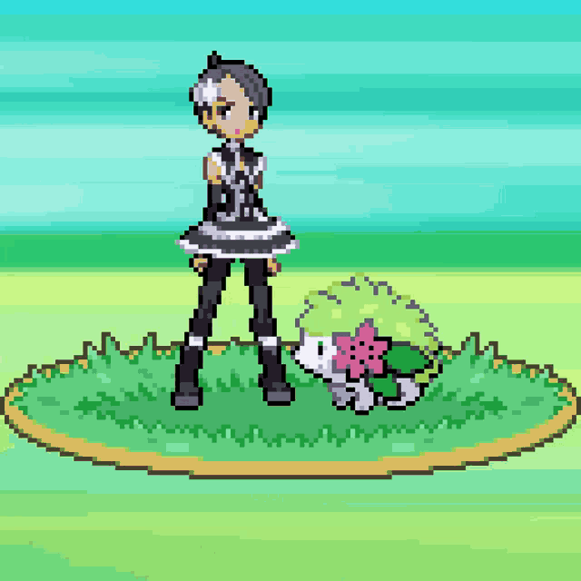 a pixel art drawing of a girl standing next to a turtle