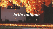 Hello Autumn GIF - Hello Autumn GIFs
