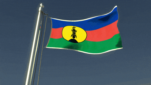 a blue red and green flag with a yellow circle with the letter h on it