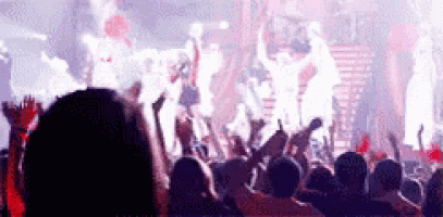 a crowd of people are watching a band perform on stage at a concert .