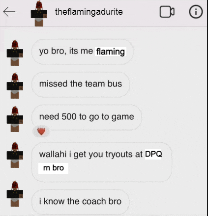 a screenshot of a text conversation between the flamingadurite and another person