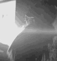 a black and white photo of a person standing in a dark room .
