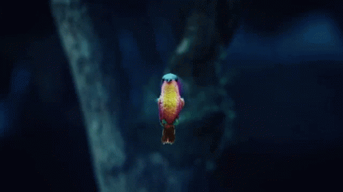 Bird Why Dont We GIF - Bird Why Dont We 8letters GIFs