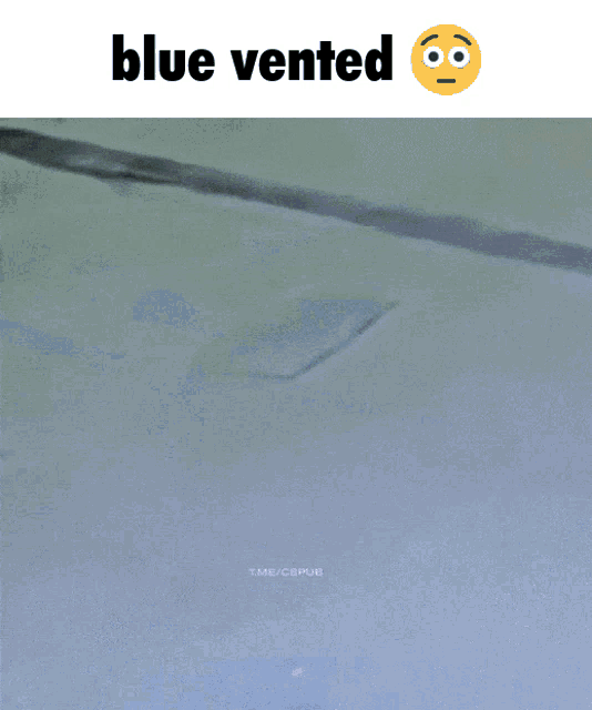 a person walking in the snow with the words blue vented above them