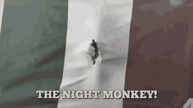 a bullet hole in a mexican flag with the words the night monkey