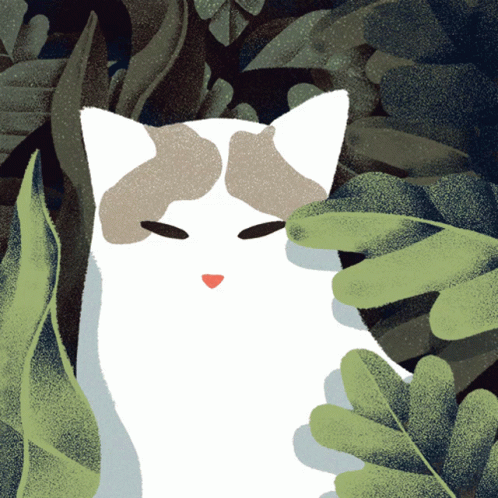 Cat Mewo GIF - Cat Mewo GIFs