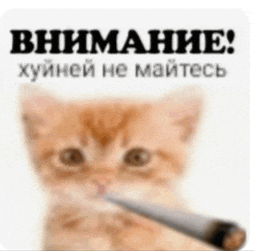 a kitten is holding a cigarette in its mouth in front of a sign in russian .