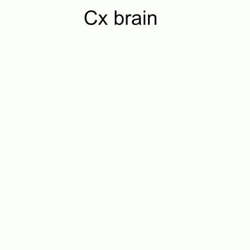 Cx Cx Brain GIF - Cx Cx Brain Brain GIFs