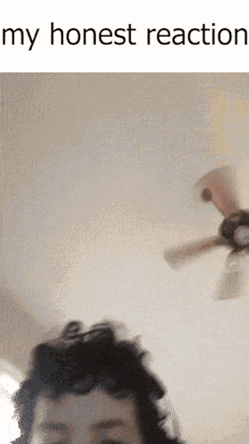 a picture of a person with a ceiling fan behind them and the words my honest reaction