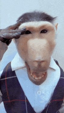 a close up of a monkey wearing a plaid vest and white shirt