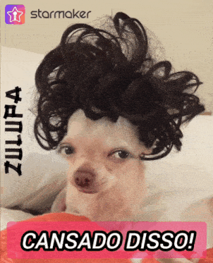 a picture of a dog wearing a wig with the words cansado disso
