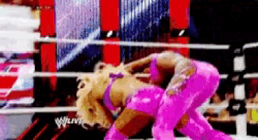 two women in pink wrestling in a ring with the word wwe on the bottom