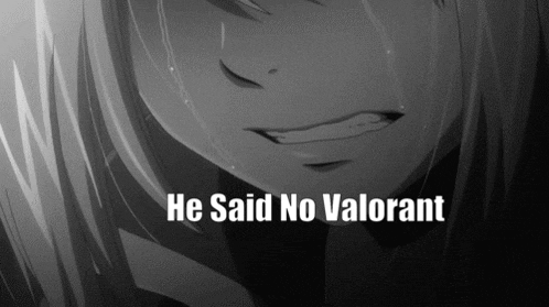 a black and white image of a girl with the words he said no valorant