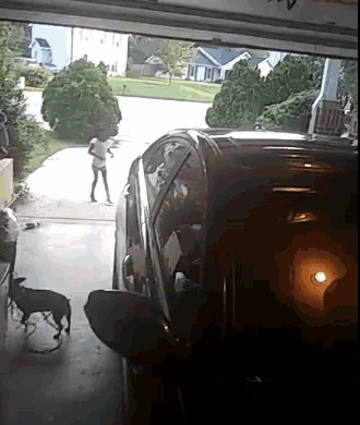 a woman is walking towards a car in a garage while a dog watches