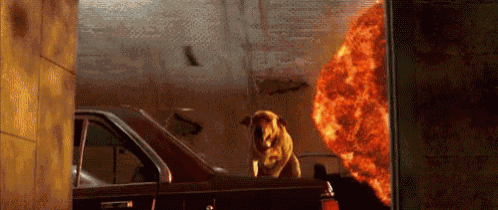 a dog is looking out of a car window at a large fireball