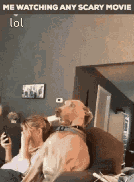 Scary Movie Funny As Hell GIF - Scary Movie Funny As Hell Funny Animals GIFs
