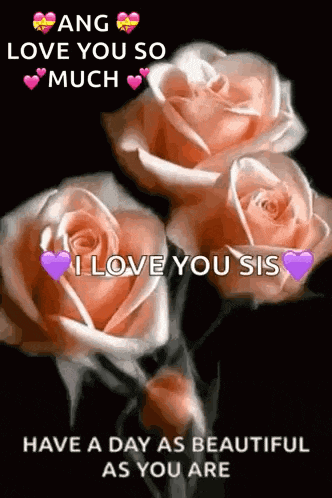 a picture of three roses with a message that says i love you sis have a day as beautiful as you are .