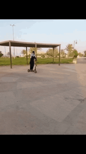 a person riding a scooter in a park