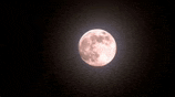 a full moon rises in the night sky