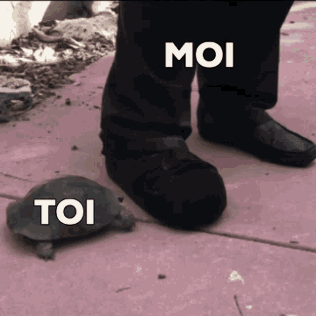 a person standing next to a turtle that says moi