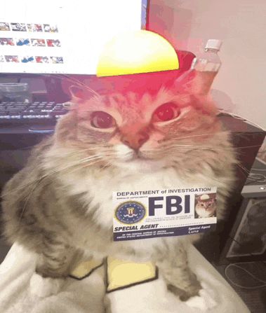a cat is wearing a hat and a fbi badge