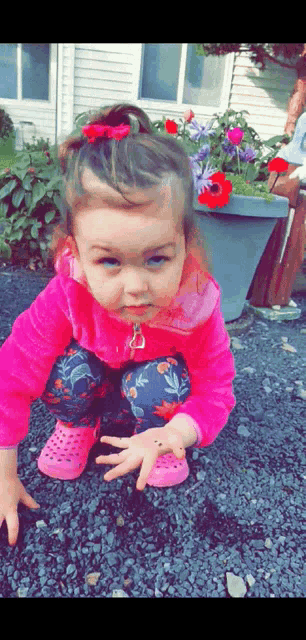 a little girl in a pink jacket and pink crocs is playing with dirt