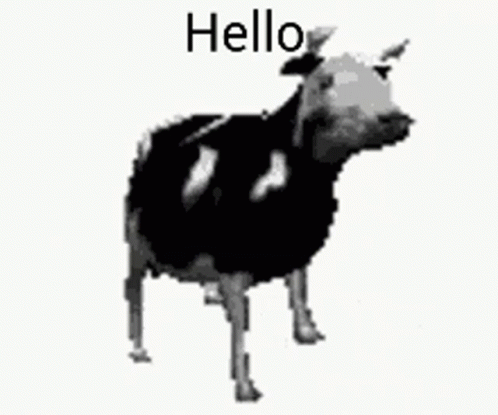 Polish Cow Meme GIF - Polish Cow Meme Memes GIFs