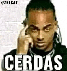 a man with dreadlocks is talking on a cell phone with the word cerdas written on it .