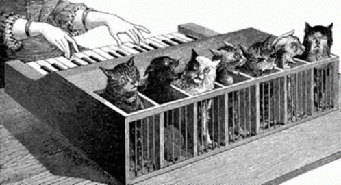 Cats Chorus GIF - Cats Chorus Keyboard GIFs