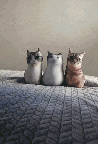 three stuffed cats are sitting on a bed with a gray blanket