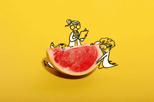 Analyzing A Grapefruit GIF - Grapefruit Analysis Fruit GIFs